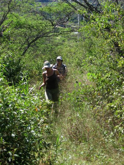 Beim Aufstieg zum Mandango muss man sich zunächst durch dichte Sträucher kämpfen