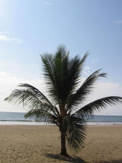 Der Strand von Puerto Lopez...