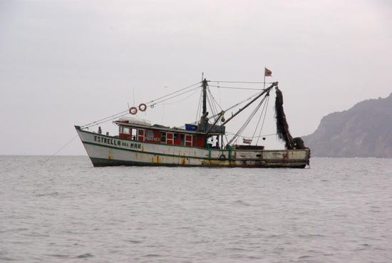 Die Fischerboote fahren jeden Tag raus auf den Pazifik...