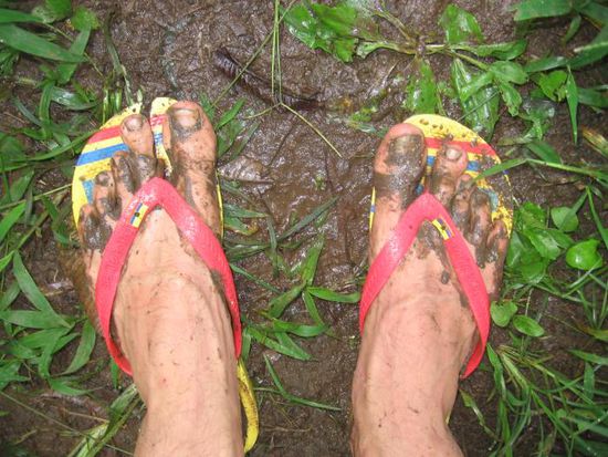 Auf der Suche nach den Galapagosschildkröten...