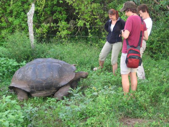 ... und hier sind sie!