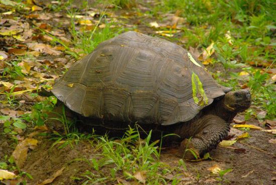 Andere waren aktiver...