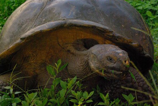 ... oder gerade beim Fressen.