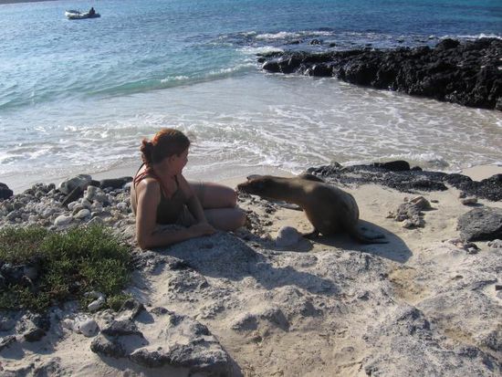 Hier konnten wir zum ersten Mal Seelöwen so richtig aus der Nähe bewundern. Julia wurde sogar neugierig beschnuppert.