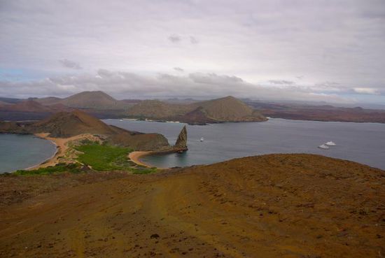 Vom Aussichtspunkt der Insel Bartolomé. So weit die Augen reichen, sieht man überall kleine Vulkane und Lavamassen.
