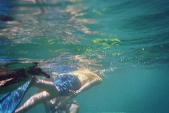 Aber diesmal sahen wir auch Pinguine! Links schwimmt gerade einer ins Bild, sie waren leider zu schnell um ein gutes Foto zu machen!
