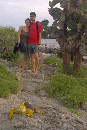 Immer wieder laufen uns die Iguanas im warsten Sinn des Wortes über den Weg