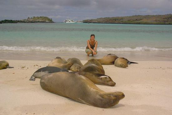 Am Strand sonnte sich wieder eine Kolonie von Seelöwen.