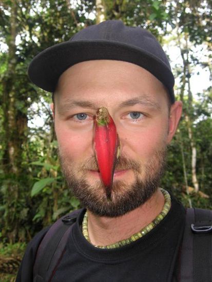 So wird man hier bei der Ankunft im Dschungel gleich geschmückt, mit einer Paradisblume auf der Nase...