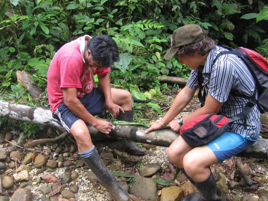Pollo hat uns aus Bromelienblättern schöne Ketten gezaubert. Hier reinigt er gerade die Bromelienfasern. Mathias muss ihm dabei das Blatt halten.