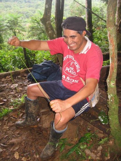 Danach werden die Fasern eingerollt ...