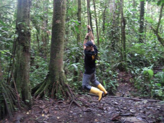 Markus versucht sich als kleiner Tarzan im Lianenschwingen