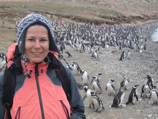 Auf der Isla Magdalena kann man tausende Pinguine hautnah erleben