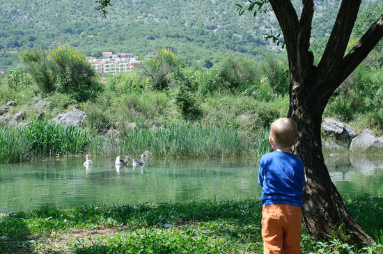 Auf unserem Campingplatz in Morinj.