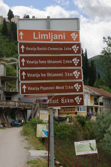 Der Weg zum montenegrinischen Wein startet hier