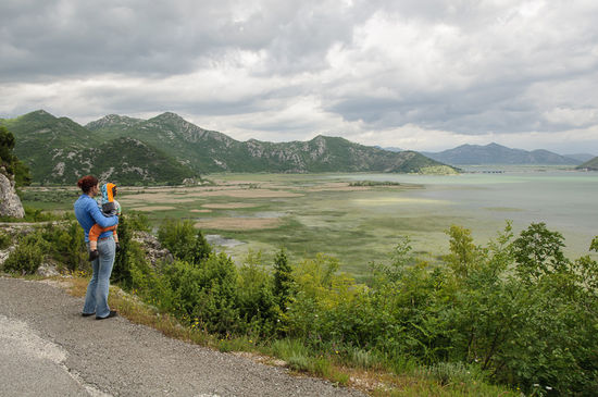 Blick auf den Skadarsee mit seinen Seerosenteppichen