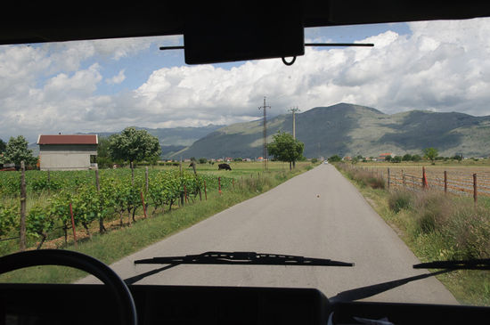 Auf nach Albanien vorbei an den vielen Weinreben der Sorte Vranac.