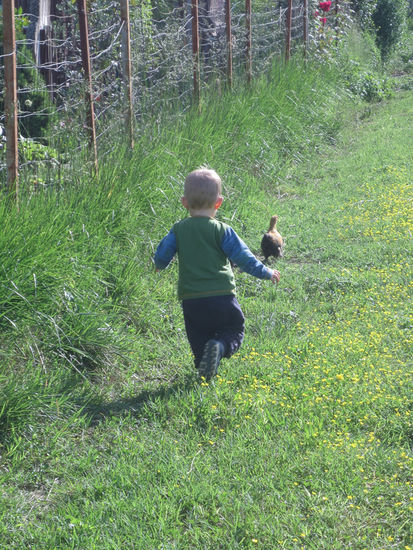 Georg geht auf Hühnerjagd