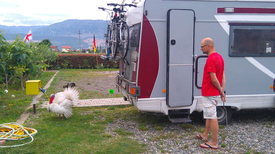 Ein aufgeplusterter Truthahn, der sein Weibchen bewacht und Markus daran hindert das Stromkabel des Wohnmobils einzupacken. Da er ziemlich Respekt vor dem Vogel hat, muss Julia her und den Truthahn mit Steinen verjagen.