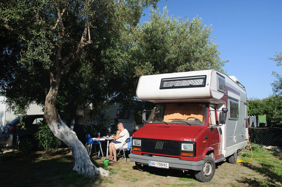Eingeparkt unter alten Olivenbäumen