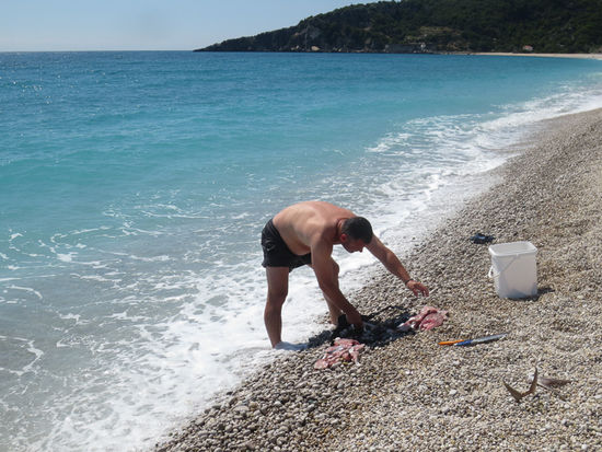 Unser Abendessen - die Albaner nennen diese Art Fisch "Maifisch", weil es ihn nur um diese Zeit gibt - wird im Meer geputzt und zerlegt.