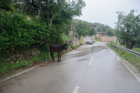 Auf solche Hindernisse sind wir schon eingestellt