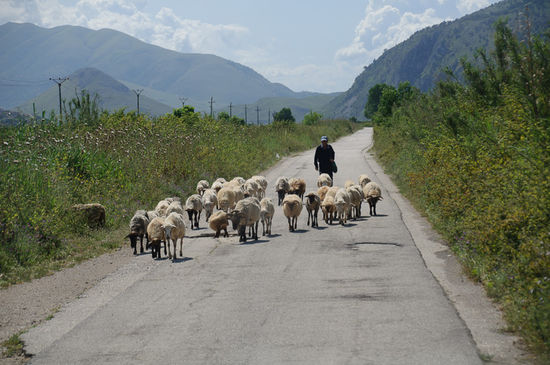 Strasse okay, aber Gegenverkehr