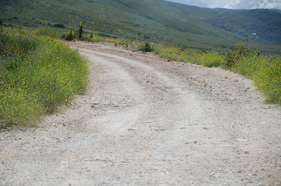 Und irgendwann siehts dann nur mehr so aus