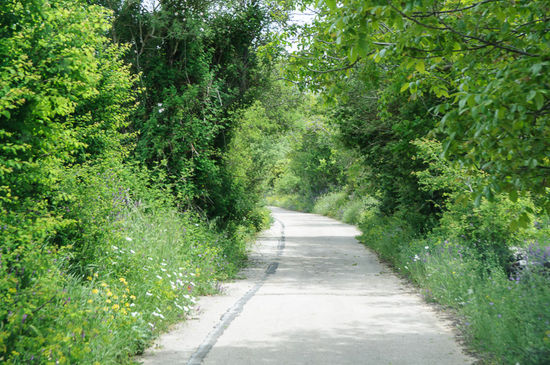Die Strasse ist nicht sonderlich breit, bei Gegenverkehr müsste man weit zurückschieben. Aber hier fährt gottseidank fast niemand. Auf der gesamten Strecke ist uns nur ein Auto begegnet.