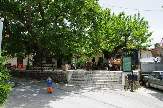 Am Dorfplatz stehen schöne grosse Bäume und spenden Schatten