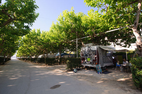 Am Campingplatz Triton II in Drepanon