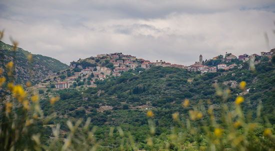 Blick zurück auf Dimitsana