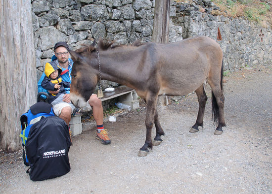 Ein freches Pferd will in unseren Rucksack hinein
