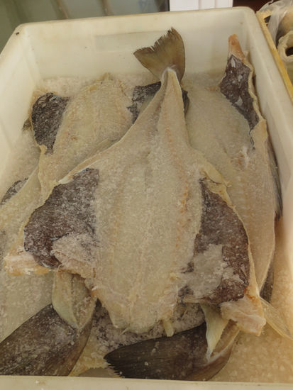 Diesen eingesalzenen Fisch sieht man auch überall, wir haben ihn aber nicht probiert