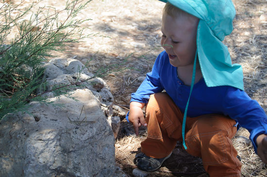 Georg findet Grashüpfer.