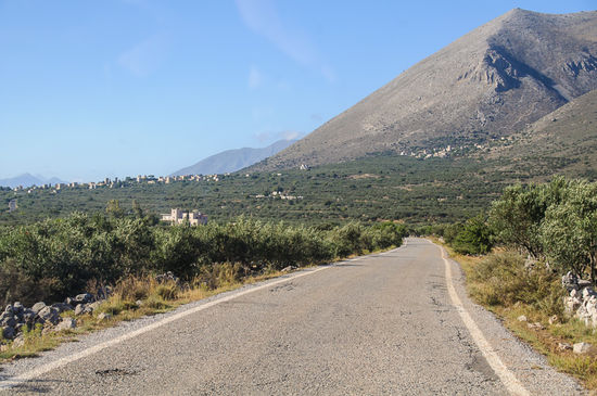 Auf dem Weg zurück nach Limeni. Die Strasse führt wieder einmal durch endlose Olivenhaine.