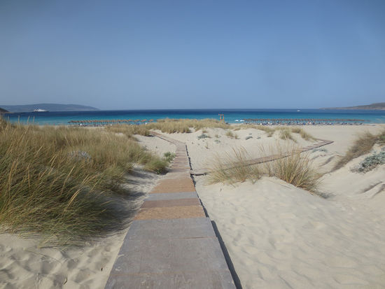 Der angelegte Weg über die Dünen ist beim heissen Sand sehr hilfreich