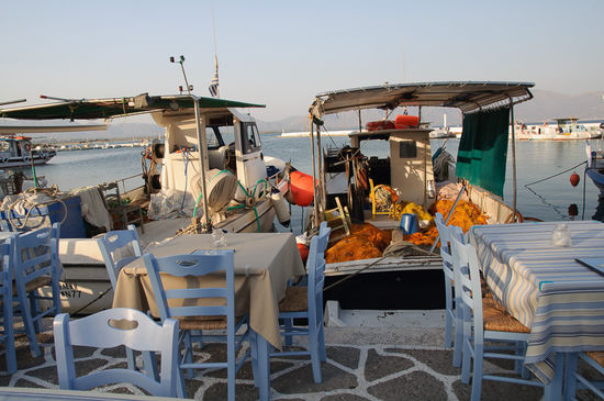 Der Fang kommt vom Fischerboot quasi direkt aufs Teller