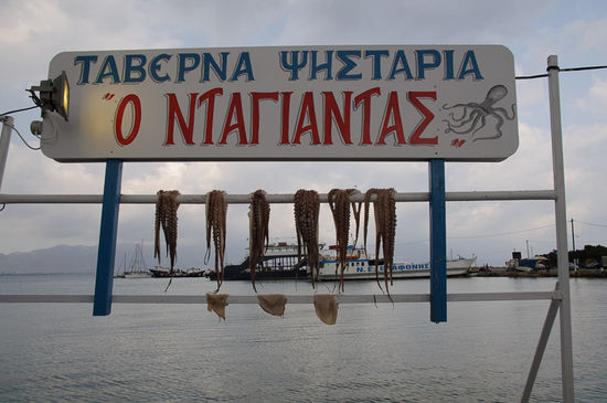 Frischer Tintenfisch