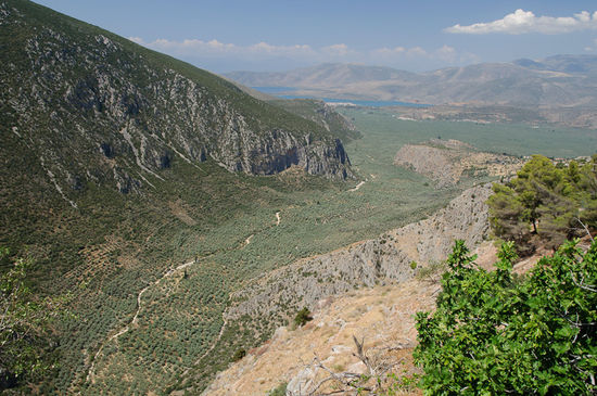 Vom Ort Delphi sieht man schön in das tief eingeschnittene Tal, der Olivenhain zieht sich auf der einen Seite weit auf den Berg hinauf, auf der anderen Seite bis nach Amfissa. Es ist der größte zusammenhängenden Olivenhain Griechenlands.