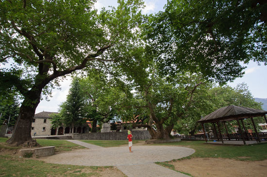 Überall im Dorf stehen schöne grosse alte Bäume