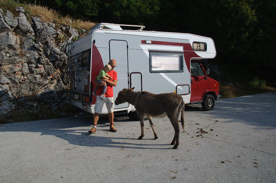 Am Morgen ist der Esel immer noch da