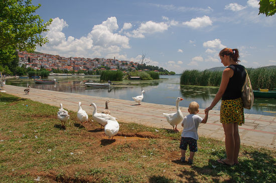 An der Seepromenade leben sehr viele Gänse. Es gibt sogar Automaten, wo man Futter kaufen kann.