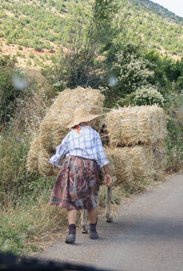 Strohtransport auf albanisch