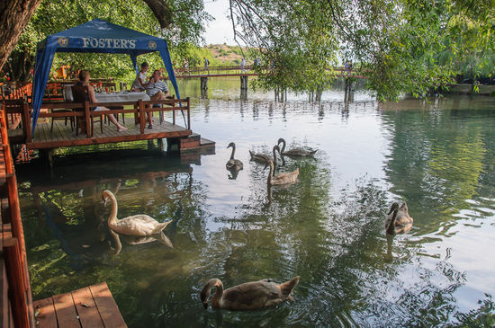Im Drilon Park. Man isst direkt am Wasser, und die Schwäne schauen zu.