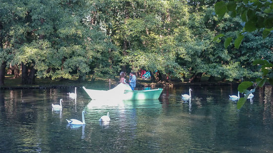 Ein Hochzeitspaar beim Fototermin, eine ziemlich schaukelige Angelegenheit.