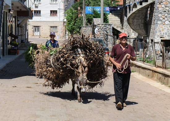 Der Esel ist immer noch ein wichtiges Transportmittel, in Lin sieht man sehr viele davon.
