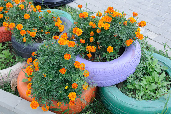 Einfallsreiche Blumendekoration in der Fussgängerzone