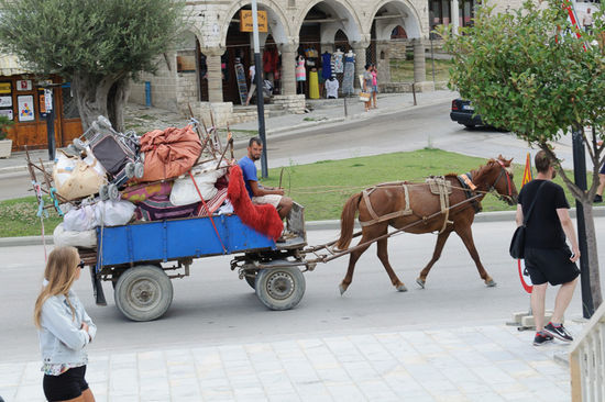 Das Pferd hat ganz schön zu schleppen