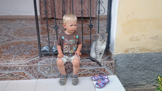 "Wird sich die Katze streicheln lassen?" Sie lässt.